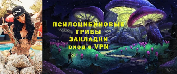 гидра Богородск