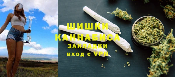 гидра Богородск