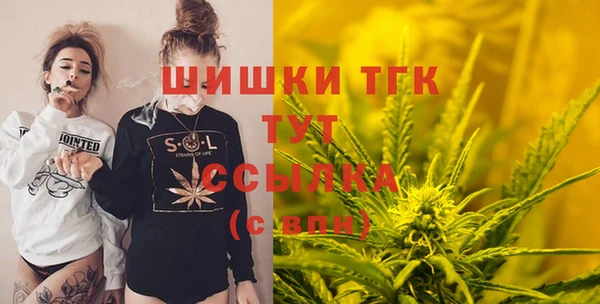 первитин Богданович