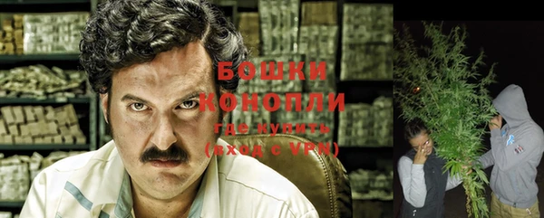 первитин Богородицк