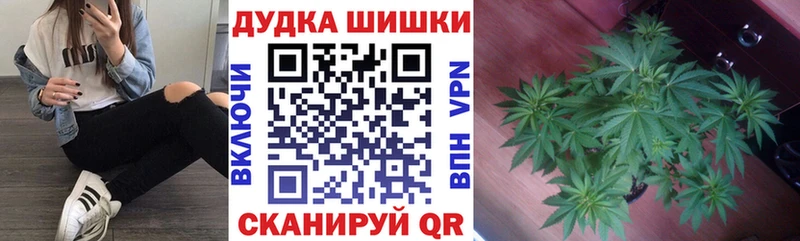 МАРИХУАНА SATIVA & INDICA  закладки  Колпашево 